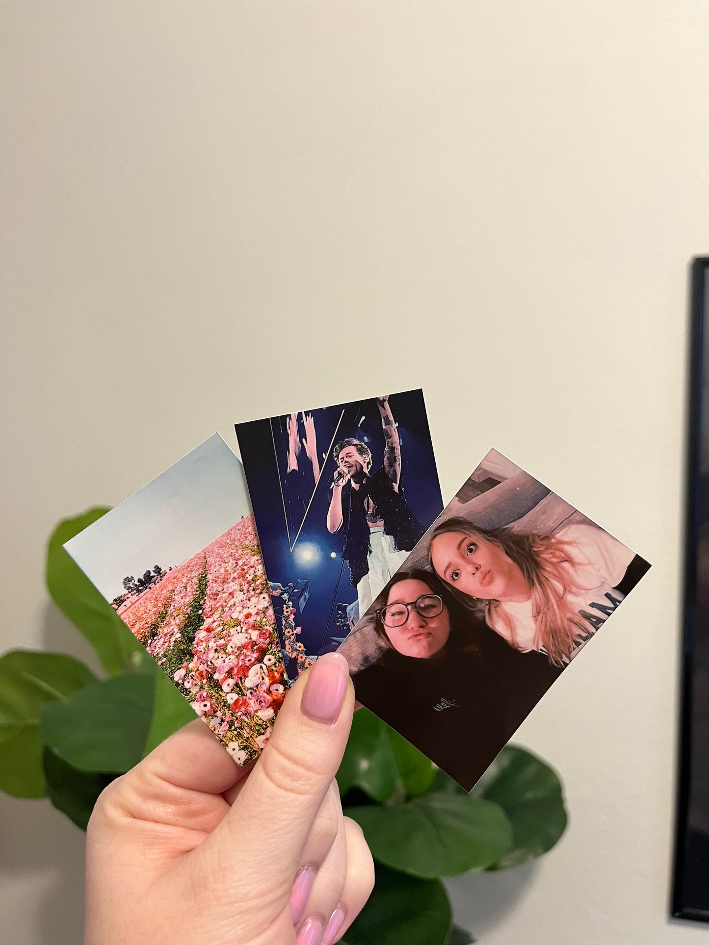 Polaroid Picture Sticker